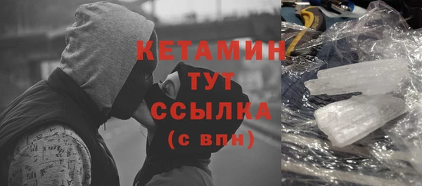 прущие грибы Вяземский