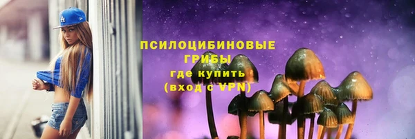 прущие грибы Вяземский