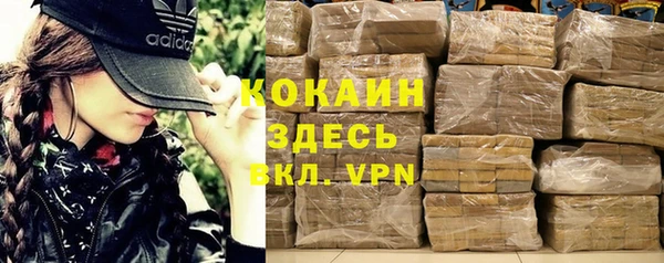 прущие грибы Вяземский