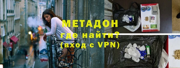 прущие грибы Вяземский
