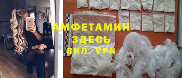 прущие грибы Вяземский
