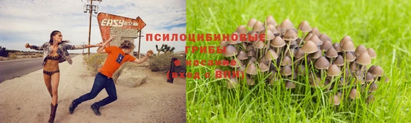 марки lsd Володарск