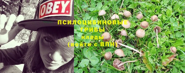 а пвп мука Горняк