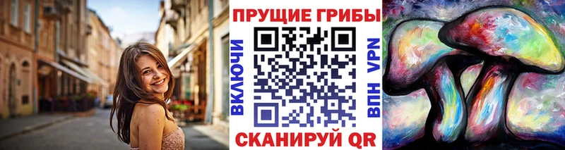 даркнет клад  купить  цена  Ивдель  Псилоцибиновые грибы мицелий 